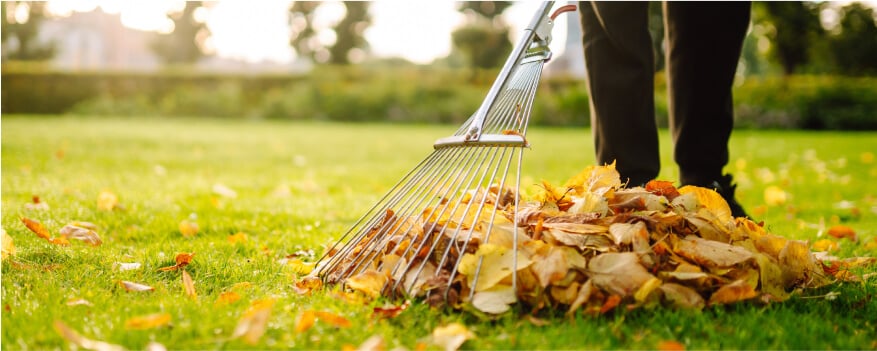 raking leaves