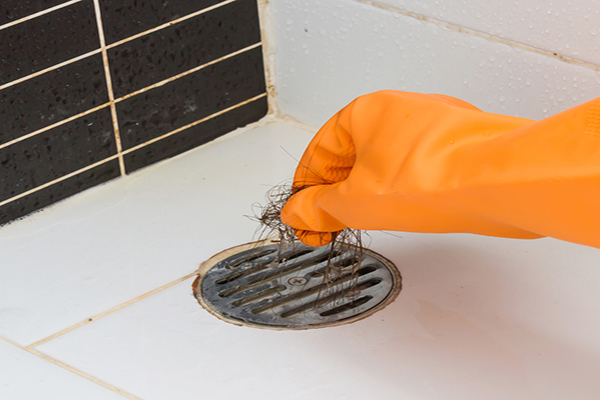 cleaning hair out of shower drain