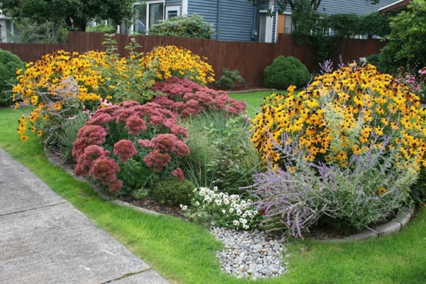 5 Ideas for How to Build a Rain Garden