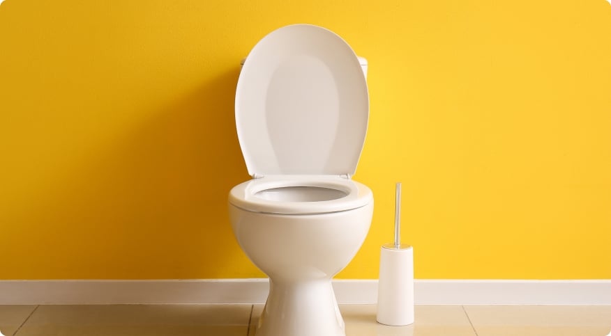 How to Replace a Toilet