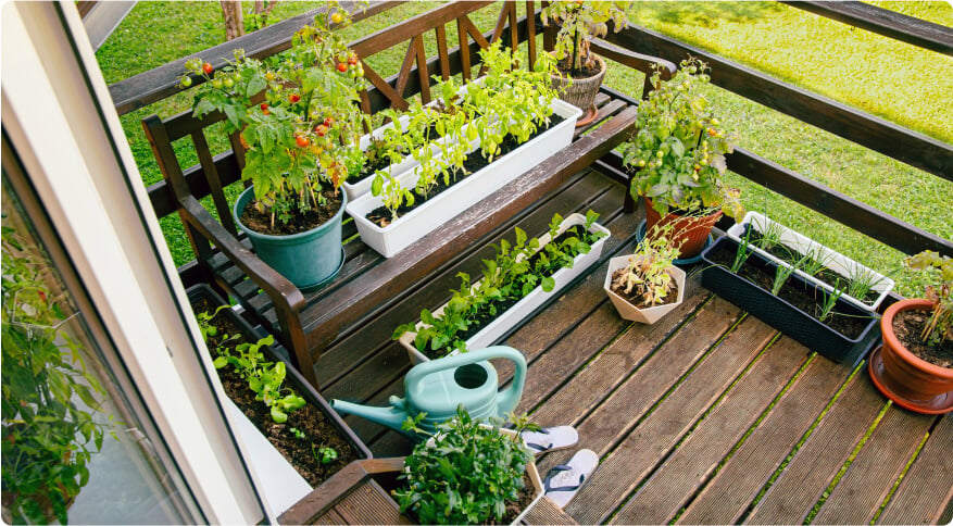 Gardening in Small Spaces: How to Create a Balcony Garden