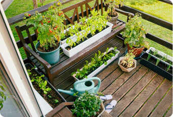 Gardening in Small Spaces: How to Create a Balcony Garden