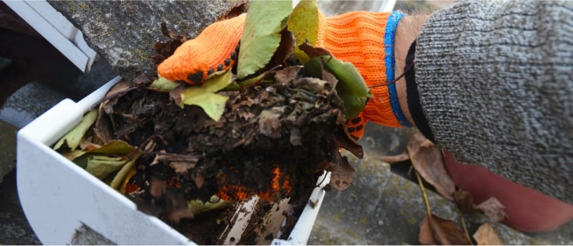 cleaning gutters