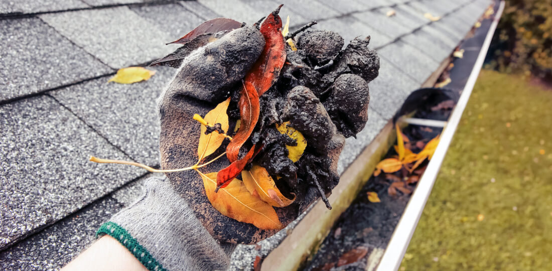 How to Clean your Gutters