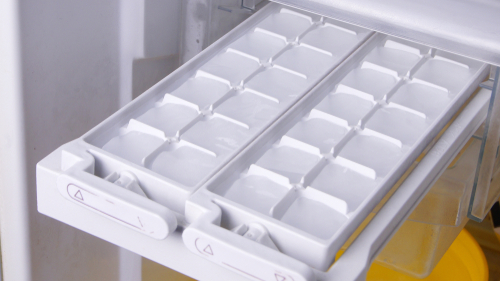 ice maker trays