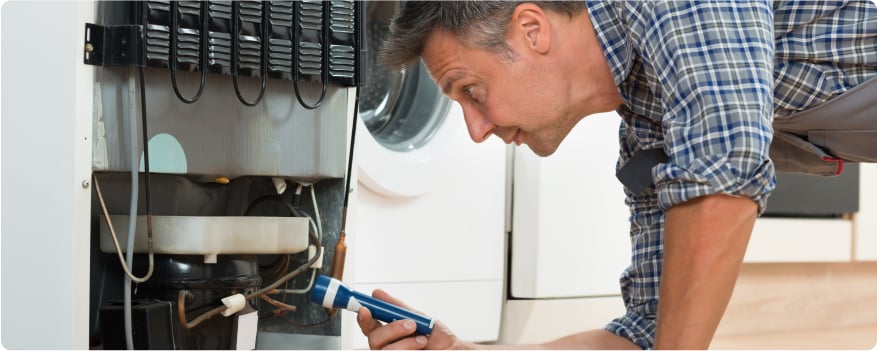 person inspecting fridge