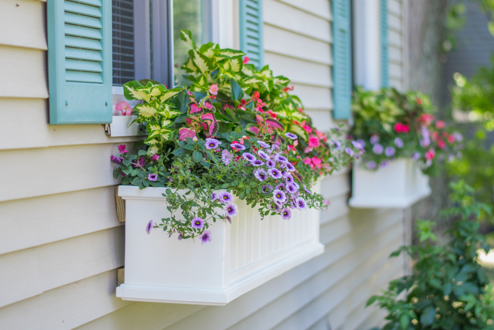 planter boxes