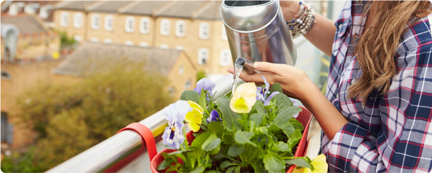 A woman watering flowers.